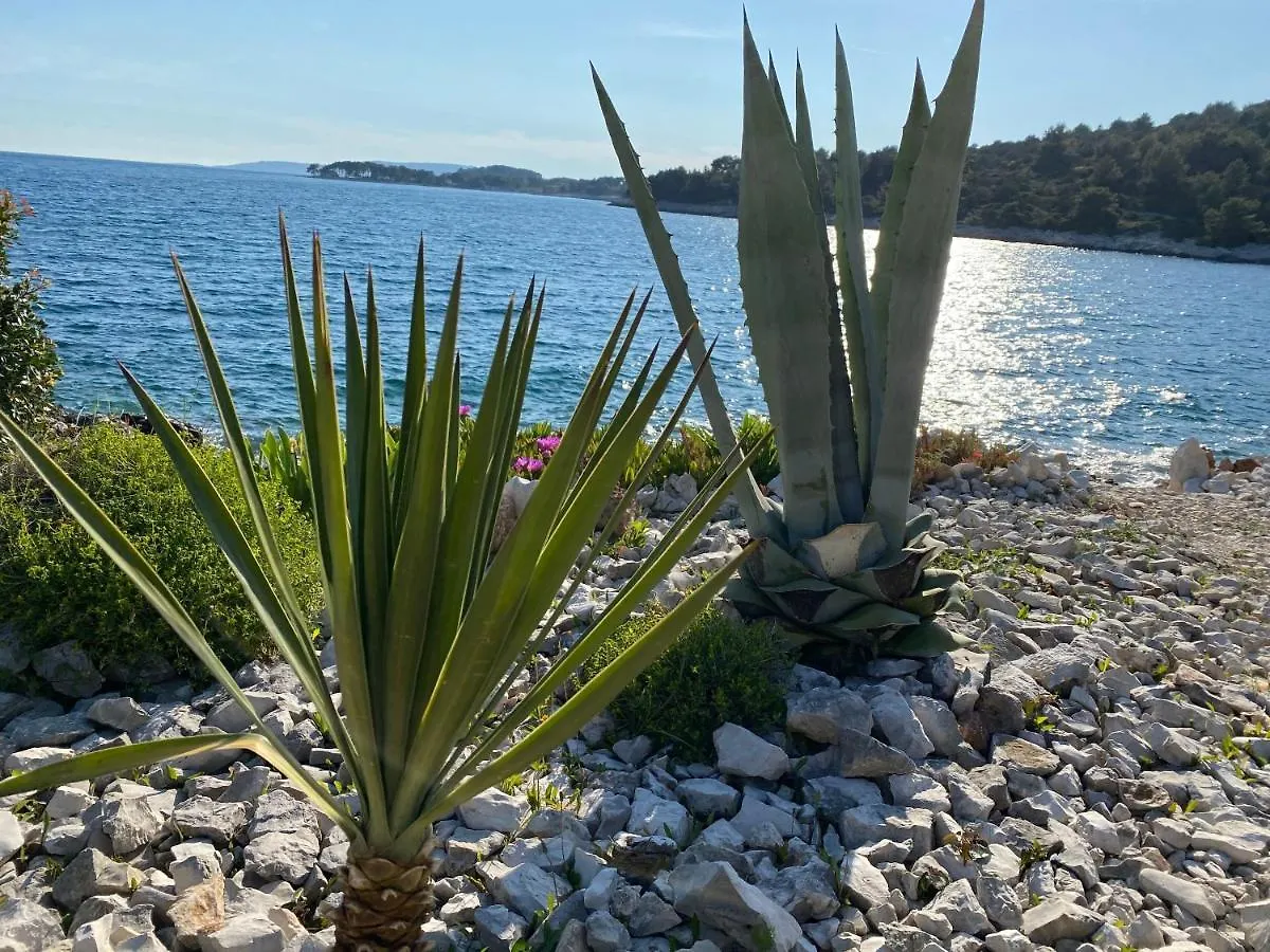 Apartment Agnes With 63 M2 Rooftop Terrace, Grill And Pool Okrug Gornji 0*,  Croatia